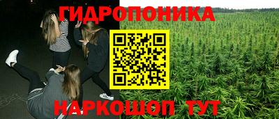 марихуана Гатчина