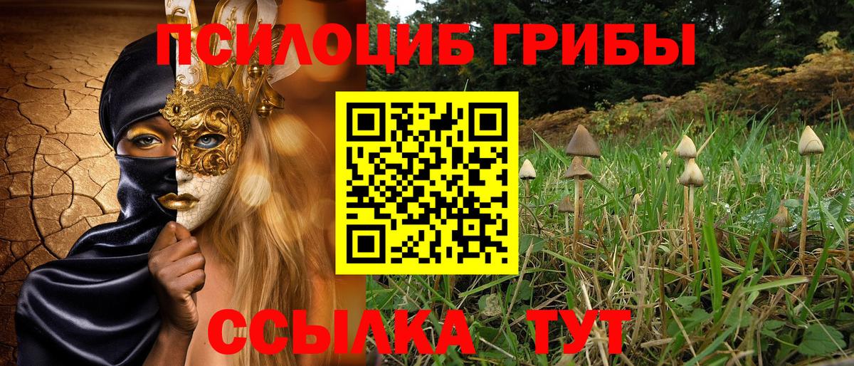Псилоцибиновые грибы MAGIC MUSHROOMS  Вход с VPN  Волоколамск 