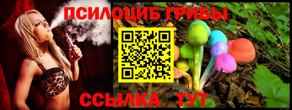 Галлюциногенные грибы Psilocybe Волоколамск